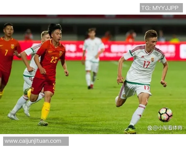 伊朗足球迷热议韩国比赛直播引发的文化交流与体育热潮